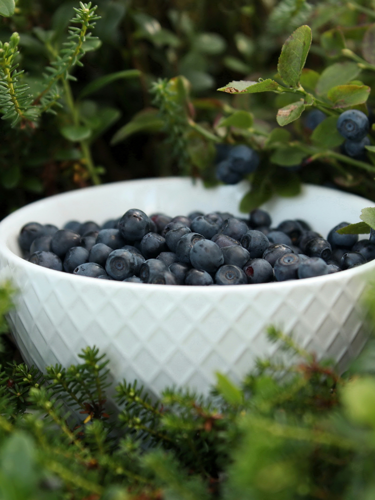 Healthy Lifestyle Image